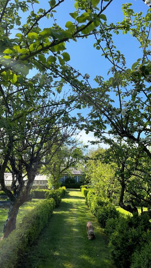 St-Valery Sur Somme - Chateau De Noyelles - Maison De Vacances Εξωτερικό φωτογραφία